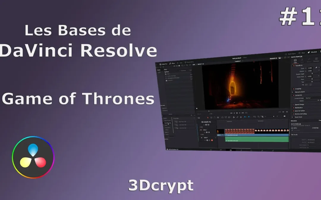 Comment fonctionne DavinciResolve? #11