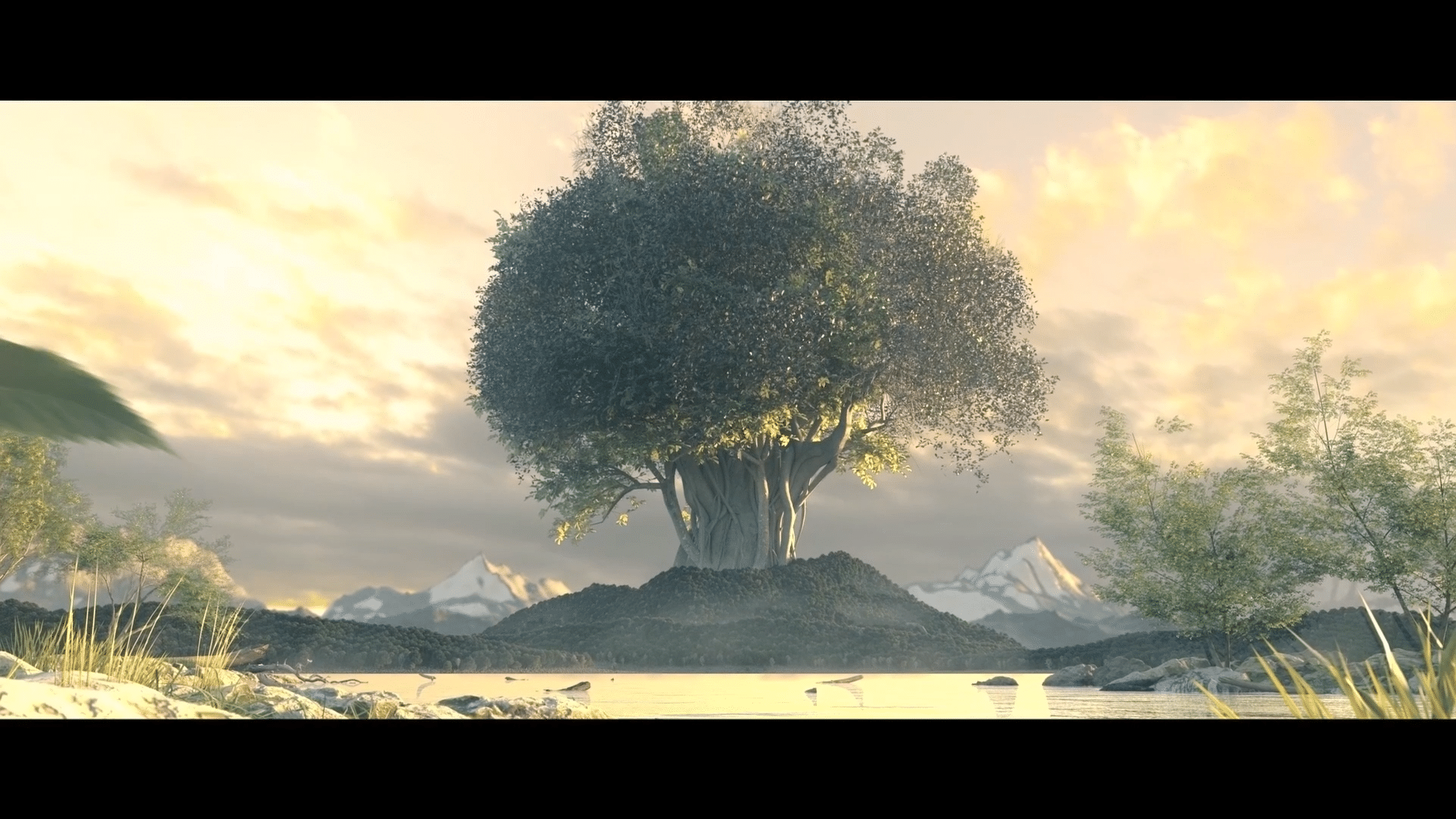 Giant Tree